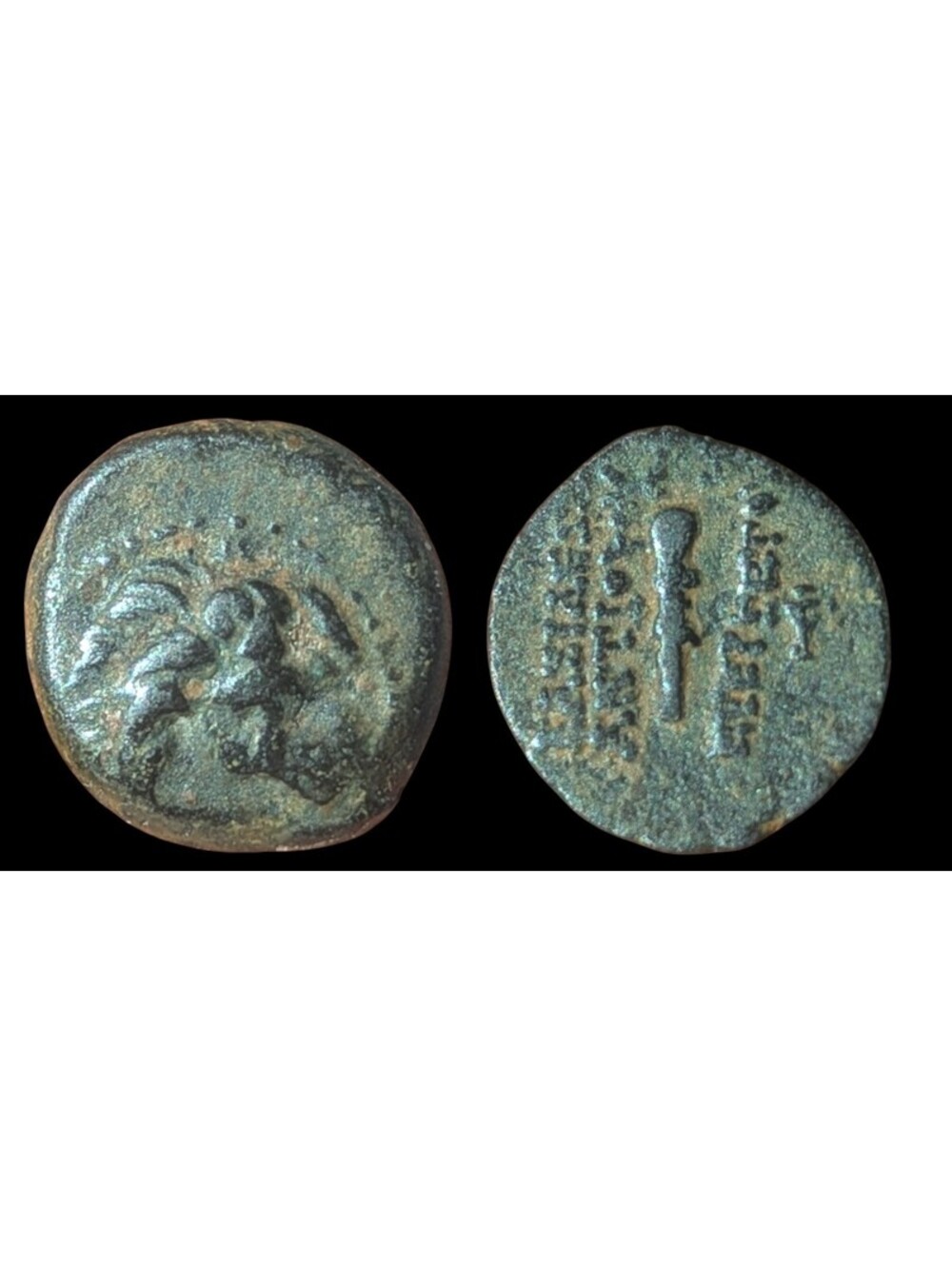 ANTOCHOS VII Seleucid Ancient Greek Coin Nemean Lion Hercules Labor